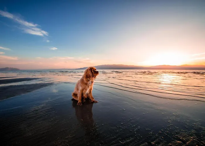 Beautiful Front بيت للعطل *